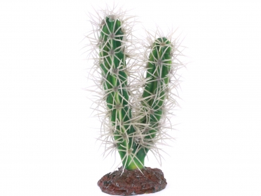 Kaktus - 16cm